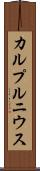 カルプルニウス Scroll