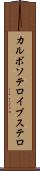 カルボソテロイブステロ Scroll