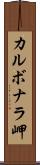 カルボナラ岬 Scroll