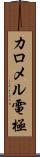 カロメル電極 Scroll