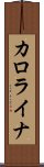 カロライナ Scroll
