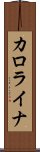 カロライナ Scroll