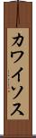 カワイソス Scroll