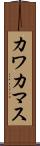 カワカマス Scroll
