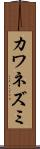 カワネズミ Scroll