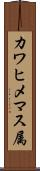 カワヒメマス属 Scroll