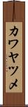 カワヤツメ Scroll