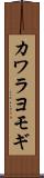 カワラヨモギ Scroll