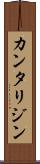カンタリジン Scroll
