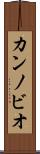 カンノビオ Scroll