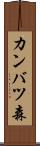 カンバツ森 Scroll