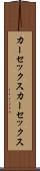 カーセックス Scroll
