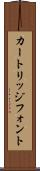 カートリッジフォント Scroll
