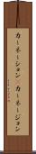 カーネーション(P) Scroll