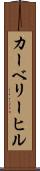 カーベリーヒル Scroll