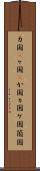 カ国(P) Scroll