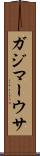 ガジマーウサ Scroll