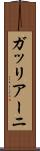 ガッリアーニ Scroll