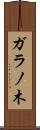 ガラノ木 Scroll