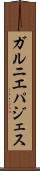 ガルニエパジェス Scroll
