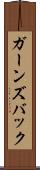 ガーンズバック Scroll