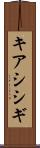 キアシシギ Scroll