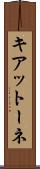 キアットーネ Scroll