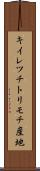 キイレツチトリモチ産地 Scroll