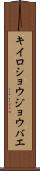 キイロショウジョウバエ Scroll