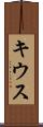 キウス Scroll