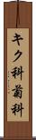 キク科;菊科 Scroll