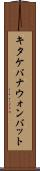 キタケバナウォンバット Scroll