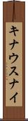 キナウスナイ Scroll