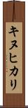 キヌヒカリ Scroll