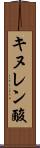 キヌレン酸 Scroll