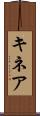 キネア Scroll