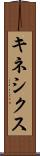 キネシクス Scroll
