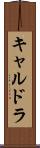 キャルドラ Scroll