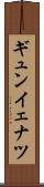 ギュンイェナツ Scroll