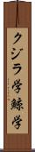 クジラ学 Scroll
