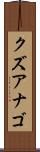 クズアナゴ Scroll