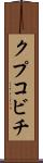 クプコビチ Scroll