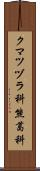 クマツヅラ科 Scroll