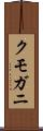 クモガニ Scroll
