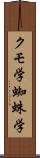 クモ学 Scroll