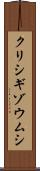 クリシギゾウムシ Scroll
