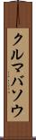 クルマバソウ Scroll