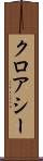 クロアシー Scroll