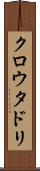 クロウタドリ Scroll