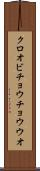 クロオビチョウチョウウオ Scroll